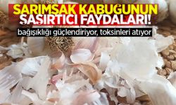 Sarımsak kabuğunun şaşırtıcı faydaları: Bağışıklığı güçlendiriyor, toksinleri atıyor!