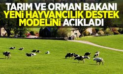 Tarım ve Orman Bakanı yeni hayvancılık destek modelini açıkladı