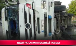 Tekeri patlayan tır devrildi: 1 yaralı