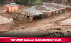 Tekman’da sağanak yağış sele neden oldu