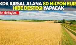 TKDK kırsal alanına 80 milyon Euro hibe desteği yapacak: işte detaylar!