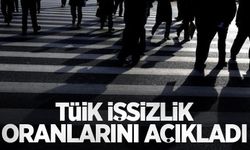 TÜİK işsizlik oranlarını açıkladı