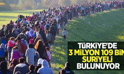 Türkiye'de 3 milyon 109 bin Suriyeli bulunuyor
