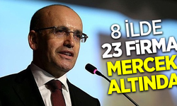 8 İlde 23 firma mercek altında
