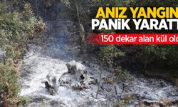 Anız yangını panik yarattı: 150 dekar alan kül oldu!