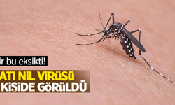 Bir bu eksikti: Batı Nil Virüsü 6 kişide görüldü!