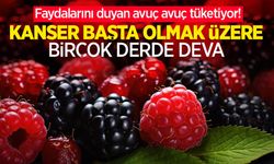 Faydalarını duyan avuç avuç tüketiyor! Kanser başta olmak üzere birçok derde deva