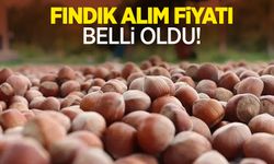 Fındık alım fiyatı belli oldu!