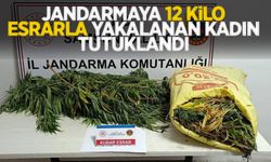 Jandarmaya 12 kilo esrarla yakalanan kadın tutuklandı