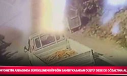 Kamyonetin arkasında sürüklenen köpeğin sahibi ’kasadan düştü’ dese de gözaltına alındı