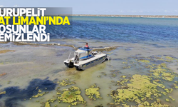 Kurupelit Yat Limanı'nda yosunlar temizlendi