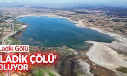 Ladik Gölü, 'Ladik çölü' oluyor