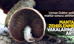Mantar zehirlenmesi vakalarında artış: Uzman Doktor yediği mantar sonucunda zehirlendi