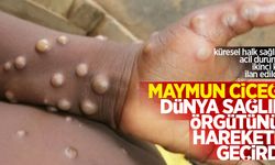 Maymun çiçeği Dünya Sağlık Örgütü'nü harekete geçirdi: Küresel halk sağlığı acil durumu ikinci kez ilan edildi...