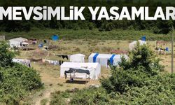 Mevsimlik yaşamlar