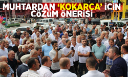 Muhtarlardan ‘kokarca' için çözüm önerisi