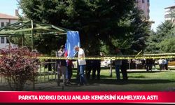 Parkta korku dolu anlar: Kendisini kamelyaya astı