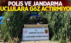 Polis ve jandarma suçlulara göz açtırmıyor