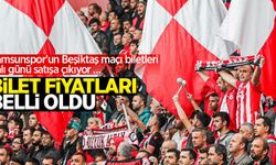 Samsunspor'un Beşiktaş maçı biletleri Salı günü satışa çıkıyor: Bilet fiyatları belli oldu!