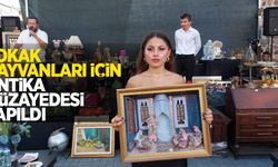 Sokak hayvanları için antika müzayedesi yapıldı