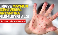 Türkiye Maymun çiçeği virüs varyantına önlemlerini aldı: henüz vaka gözlemlenmedi