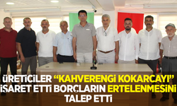 Üreticiler "kahverengi kokarcayı" işaret etti, borçların ertelenmesini talep etti