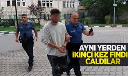 Aynı yerden ikinci kez fındık çaldılar