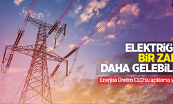 Elektriğe bir zam daha gelebilir: Enerjisa Üretim CEO'su açıklama yaptı