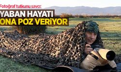 Fotoğraf tutkunu savcı: Yaban hayatı ona poz veriyor
