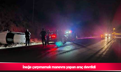 İneğe çarpmamak manevra yapan araç devrildi