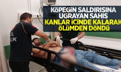 Köpeğin saldırısına uğrayan şahıs kanlar içinde kalarak ölümden döndü
