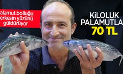 Palamut bolluğu herkesin yüzünü güldürüyor: Kiloluk palamutlar 70 TL
