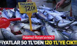 Palamut Rusya'ya kaçtı, fiyatlar 50 TL'den 120 TL'ye çıktı