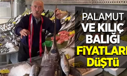 Palamut ve kılıç balığı fiyatları düştü