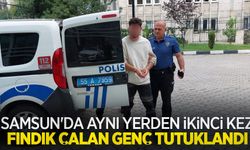Samsun'da aynı yerden ikinci kez fındık çalan genç tutuklandı