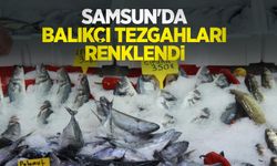 Samsun'da balıkçı tezgahları renklendi