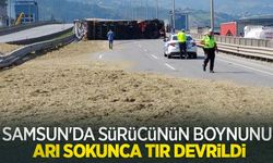 Samsun'da sürücünün boynunu arı sokunca tır devrildi