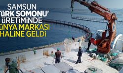 Samsun, 'Türk somonu' üretiminde dünya markası haline geldi