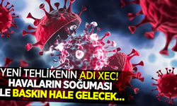 Yeni tehlikenin adı XEC! Havaların soğuması ile baskın hale gelecek...
