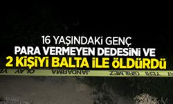16 yaşındaki genç para vermeyen dedesini ve 2 kişiyi balta ile öldürdü