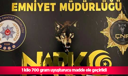 1 kilo 700 gram uyuşturucu madde ele geçirildi