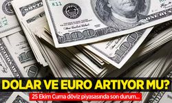 25 Ekim Cuma dolar ne kadar oldu, euro ne kadar?