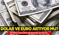 30 Ekim Çarşamba dolar ne kadar oldu, euro ne kadar?