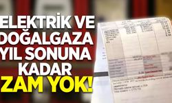 Elektrik ve doğalgaza yıl sonuna kadar zam yok