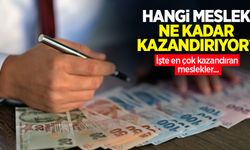 Hangi meslek ne kadar kazandırıyor? İşte en çok kazandıran meslekler...
