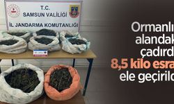 Ormanlık alandaki çadırda 8,5 kilo esrar ele geçirildi