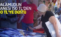 Palamudun tanesi 150 TL’den 80 TL’ye düştü