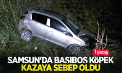 Samsun'da başıboş köpek kazaya sebep oldu: 1 yaralı