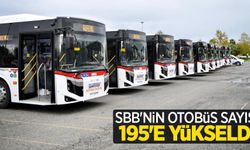 SBB’nin otobüs sayısı 195’e yükseldi