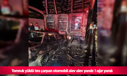 Tomruk yüklü tıra çarpan otomobil alev alev yandı: 1 ağır yaralı
